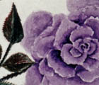 Purple Rose
