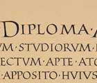 St. Davids School Diploma
